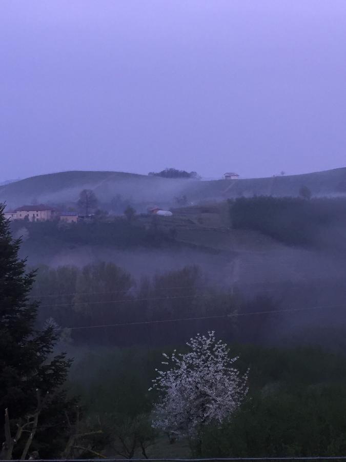 Bed and Breakfast Cascina Baresane Alba  Exteriér fotografie