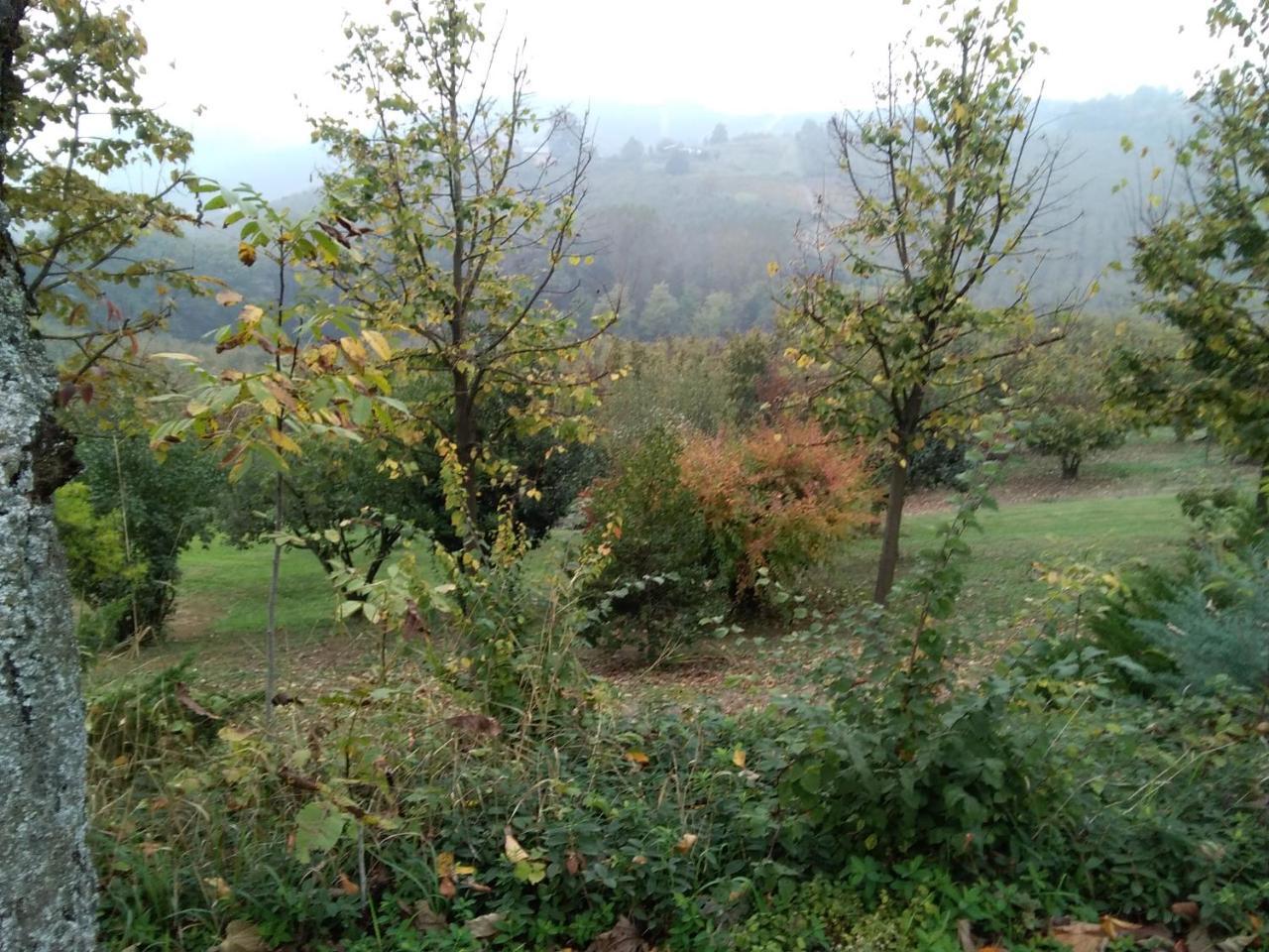 Bed and Breakfast Cascina Baresane Alba  Exteriér fotografie